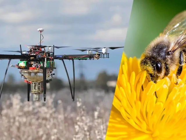 استفاده از کوادکوپتر به جای زنبور عسل در طبیعت